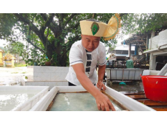 Traditional non legacy papermaking skills radiate new vitality for Rural Revitalization