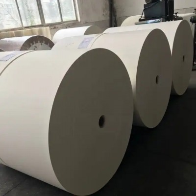 paper cup single wall pe coated paper in roll wholesale in China