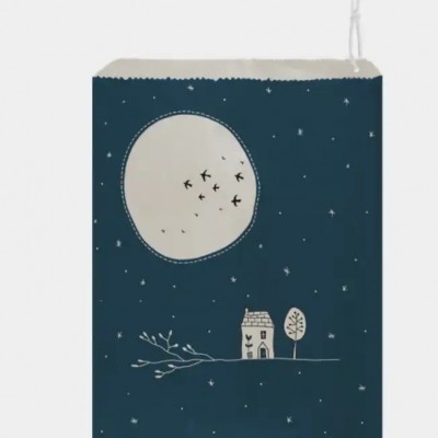 Moon and sky Paper printed Gift Bags, Gift Wrapping, Paper Bags