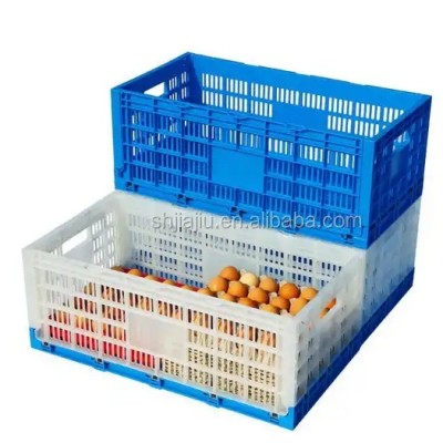 JOIN Plastic egg storage crate Vented Folding Collapsible storage Egg tray plastic crate