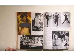 PLAYBOY's farewell to print: The Male Gaze and the adult magazine in the decline of print
